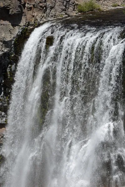 DSC_3776 (Large).JPG